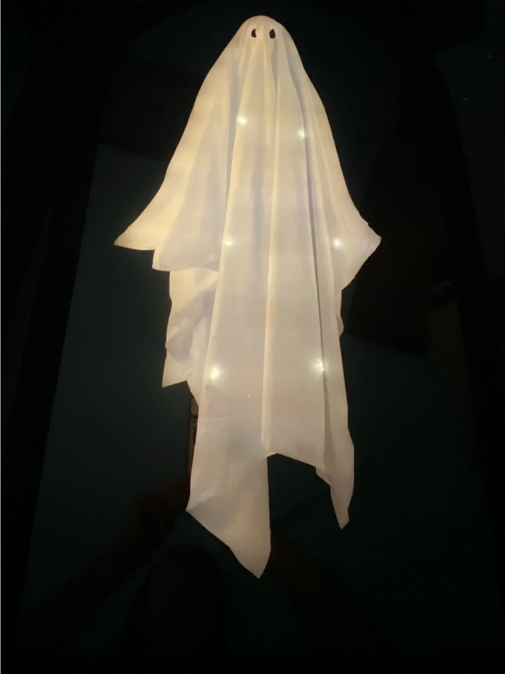 Viral Martha Stewart LED ghost mirror with twinkling ghost